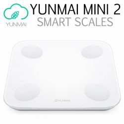 Yunmai Mini 2