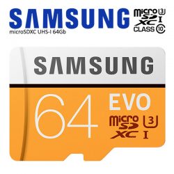 Samsung EVO 64 Gb